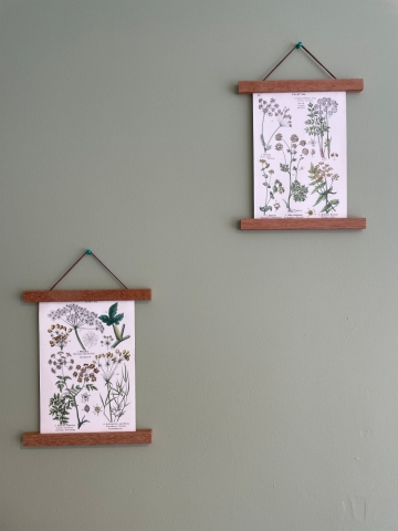 Vintage Botanical Prints